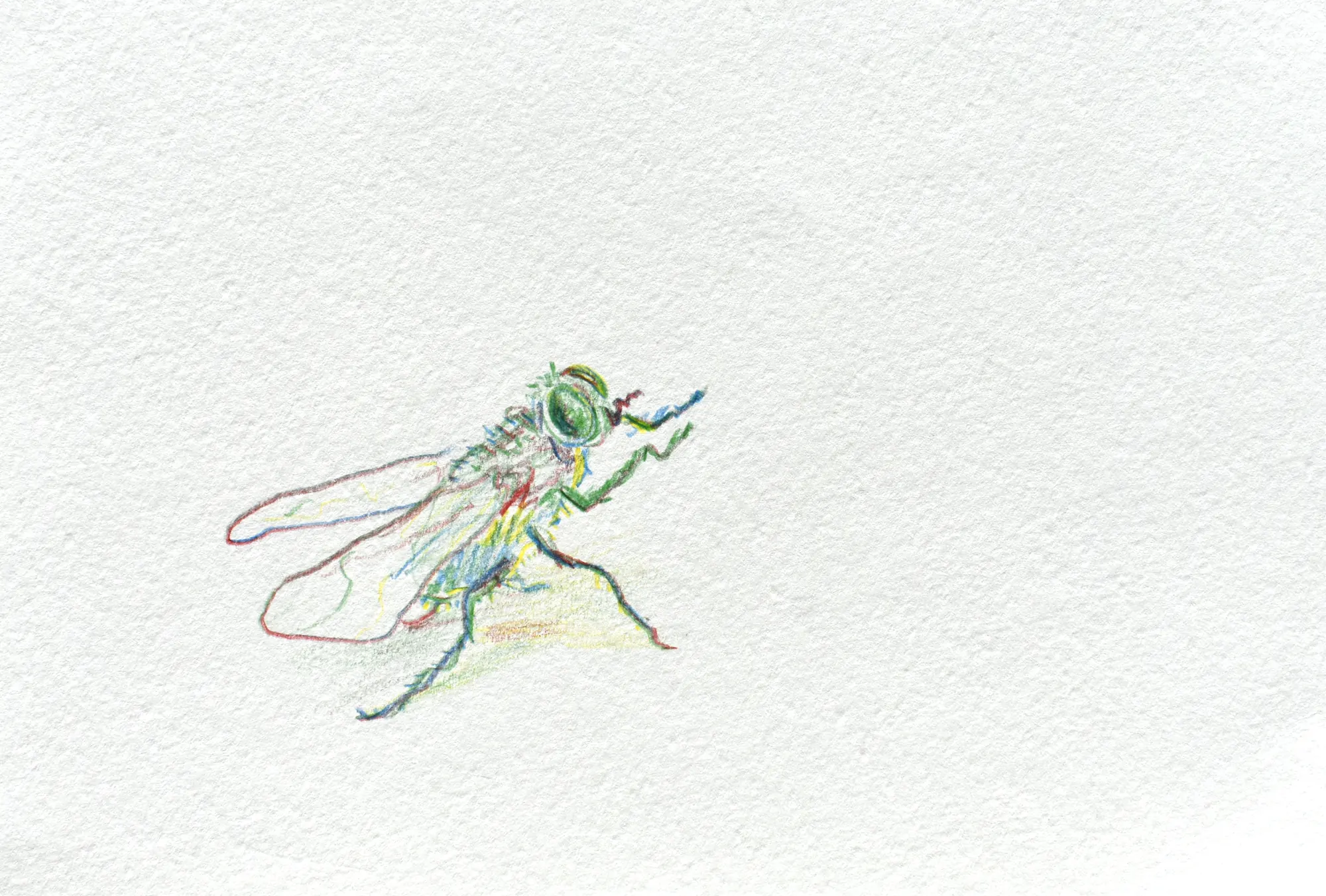 Mosca — 1