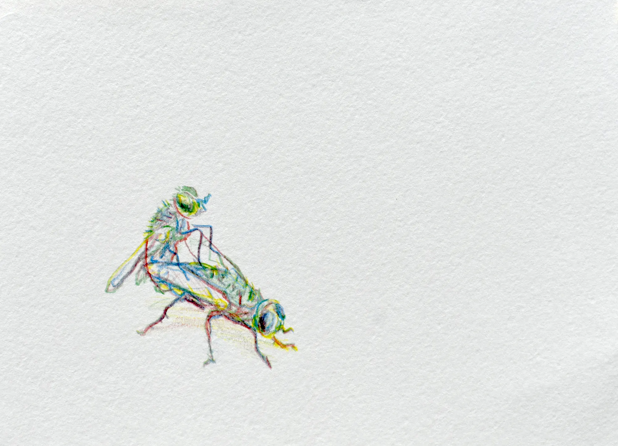 Mosca — 2