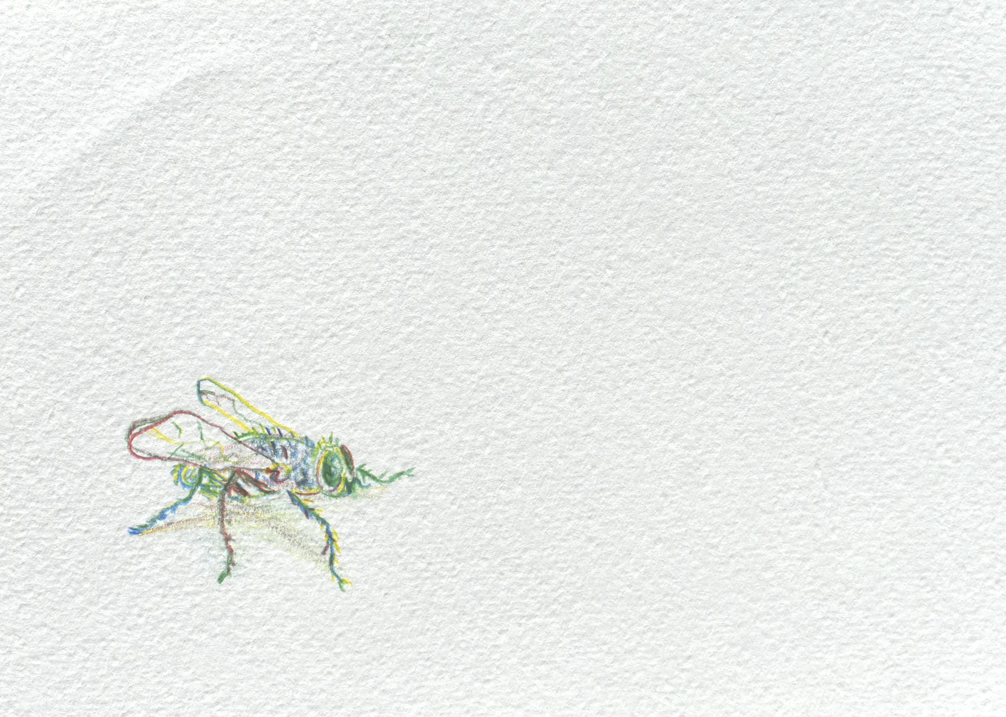 Mosca — 3