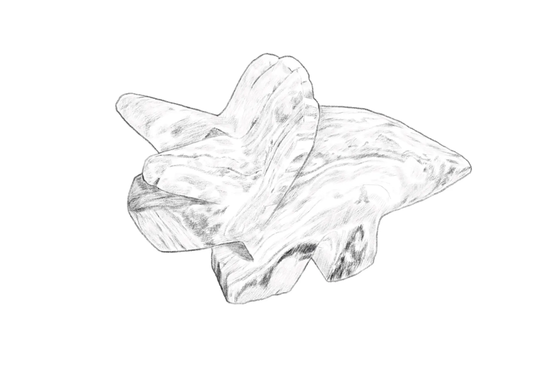 PPLM — dinosaurio